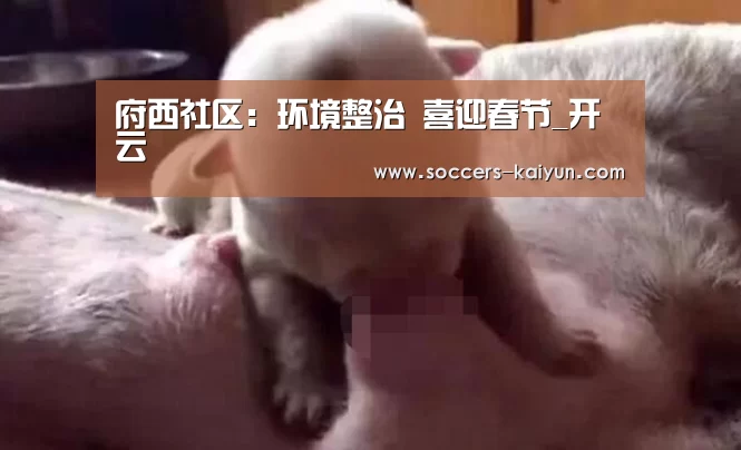 府西社区:环境整治 喜迎春节_开云(图1) Kaiyun官网入口 - 首页通道